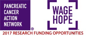 Pancreatic Cancer Action Network Research Funding Available